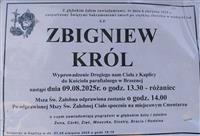 Gołębie zdjęcie